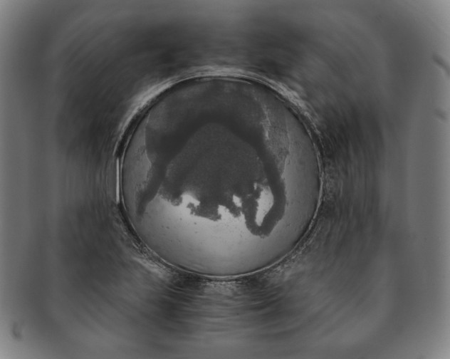 X0000091201223200708231523