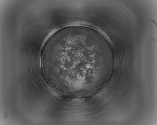 X0000091201224200708231523
