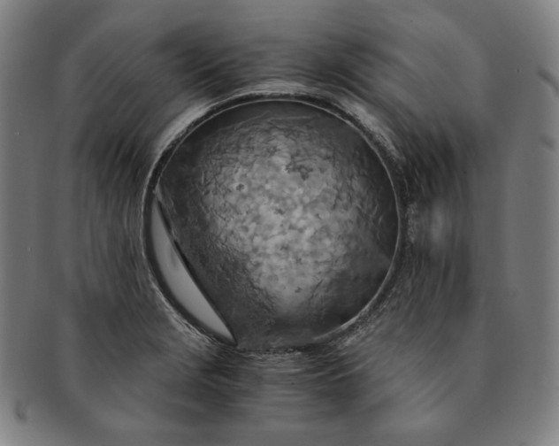 X0000091201229200708231523
