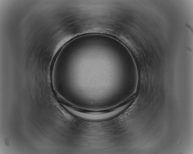 X0000091201230200708231523