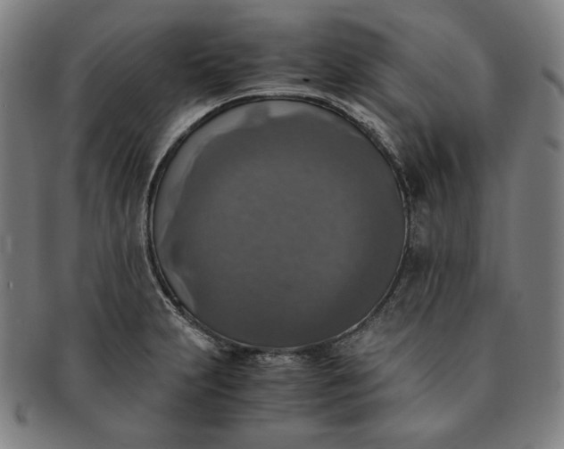 X0000091201231200708231523