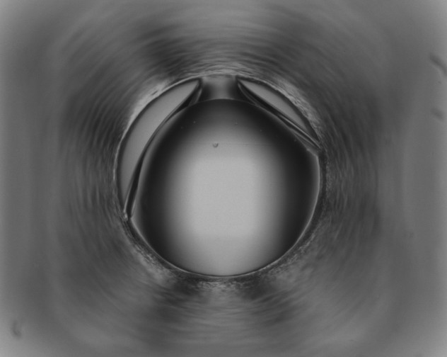 X0000091201234200708231523