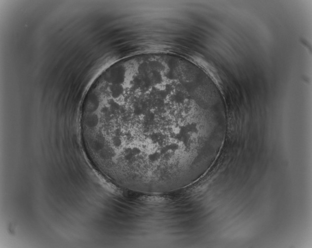 X0000091201235200708231523