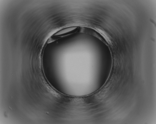 X0000091201238200708231523