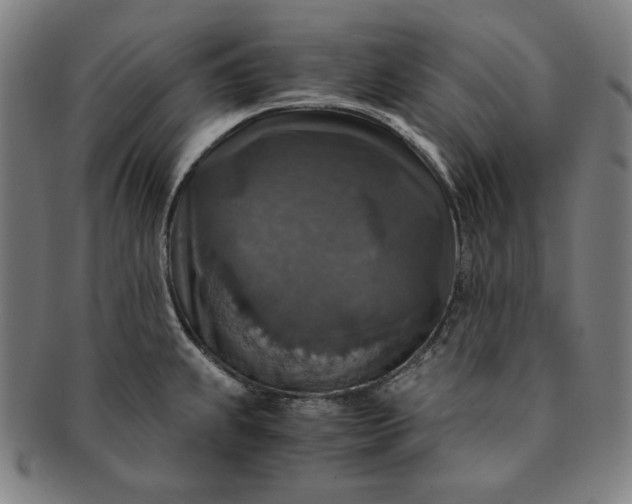X0000091201239200708231523