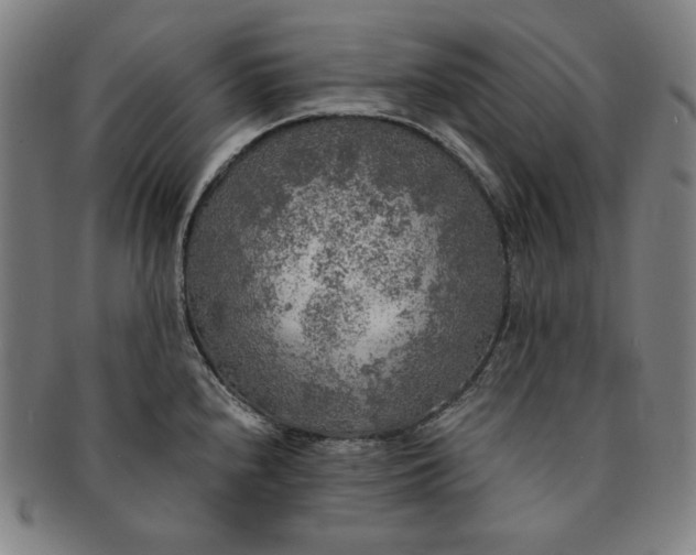 X0000091201240200708231523