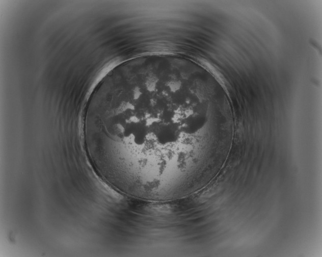 X0000091201243200708231523