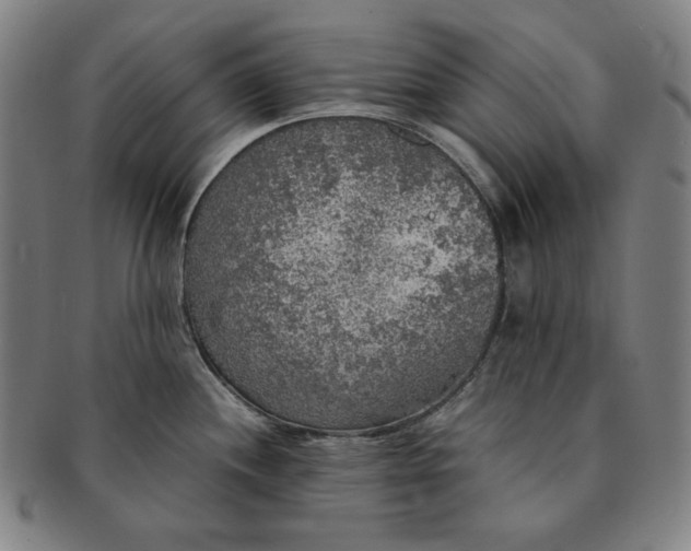 X0000091201244200708231523
