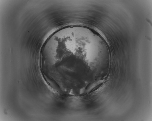X0000091201245200708231523