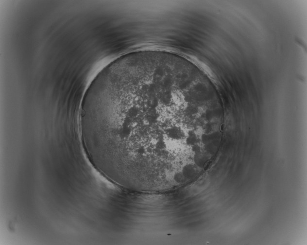 X0000091201247200708231523