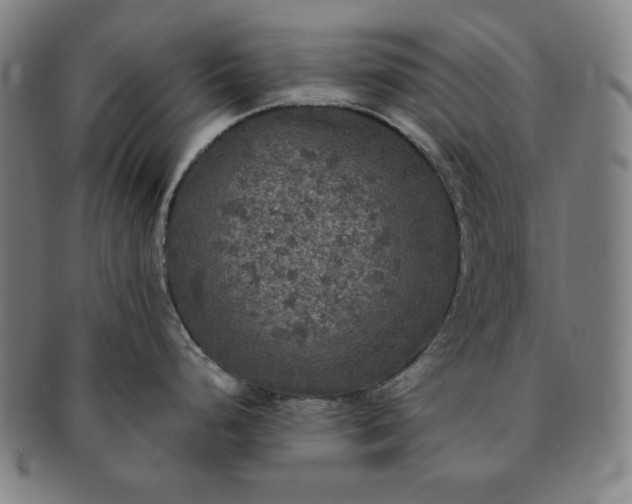 X0000091201248200708231523