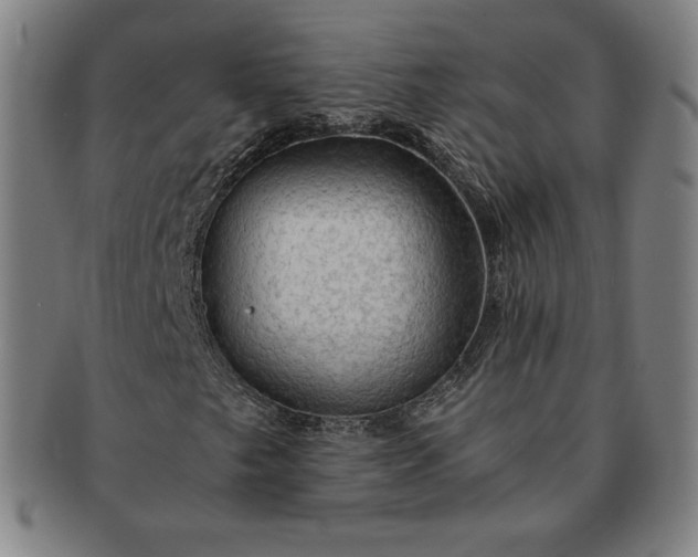 X0000091201249200708231522