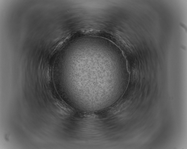 X0000091201250200708231522