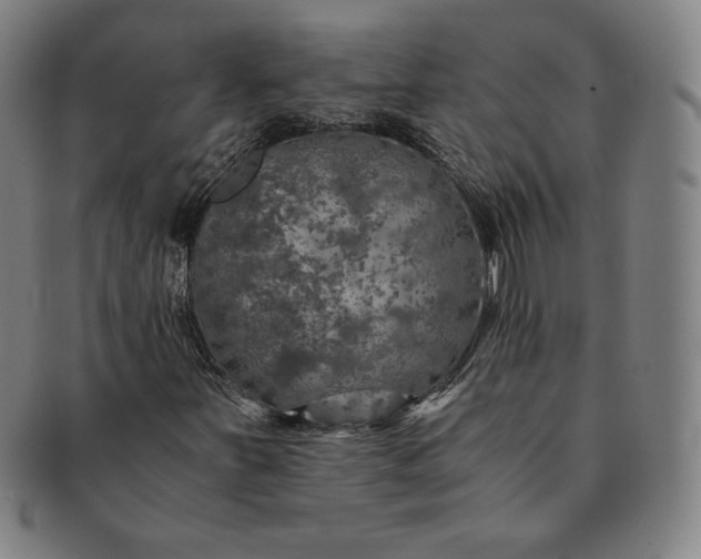 X0000091201251200708231522