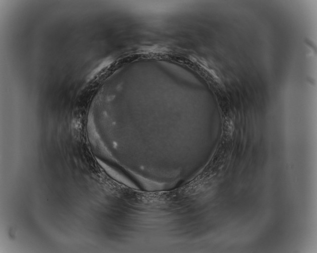 X0000091201254200708231522