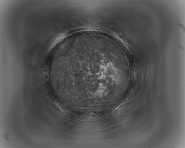 X0000091201255200708231522