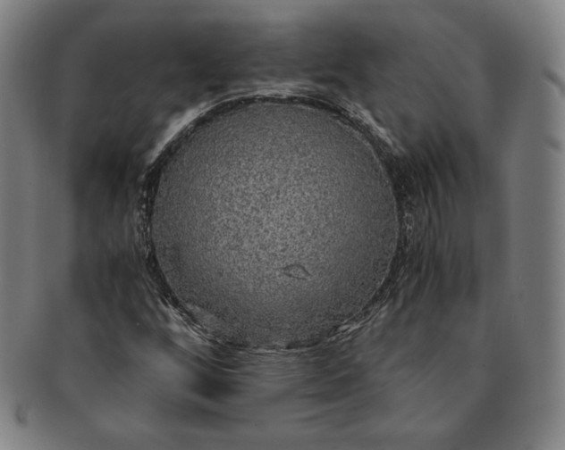 X0000091201256200708231522