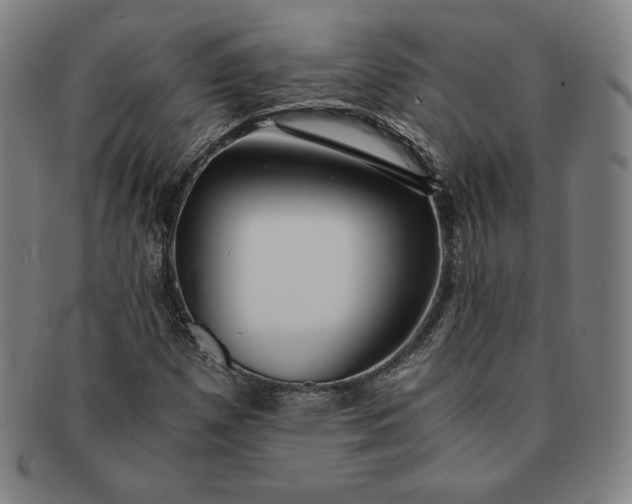 X0000091201257200708231522