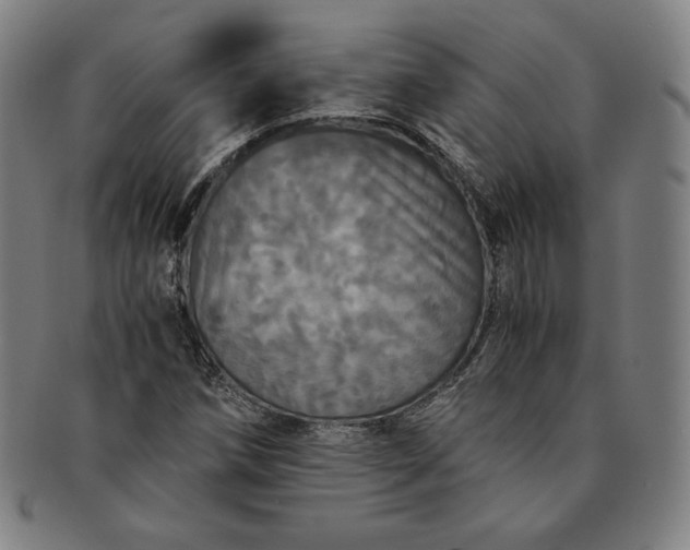 X0000091201258200708231522