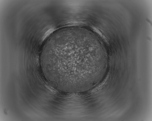 X0000091201259200708231522