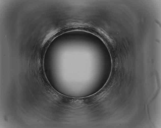 X0000091201261200708231522