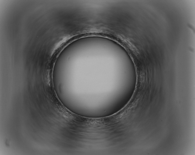 X0000091201262200708231522