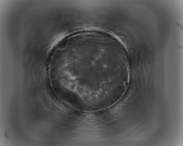 X0000091201263200708231522