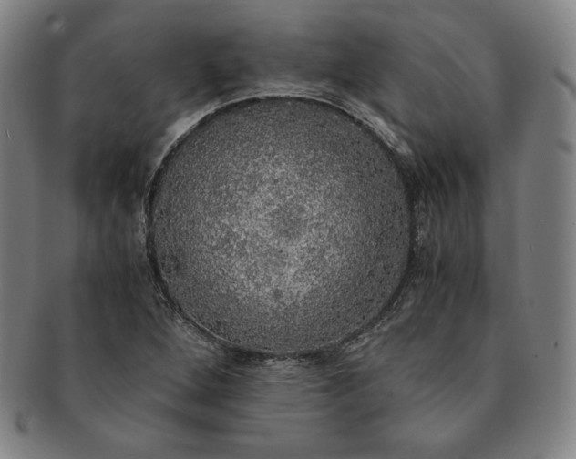 X0000091201264200708231522