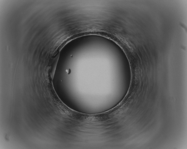 X0000091201265200708231522