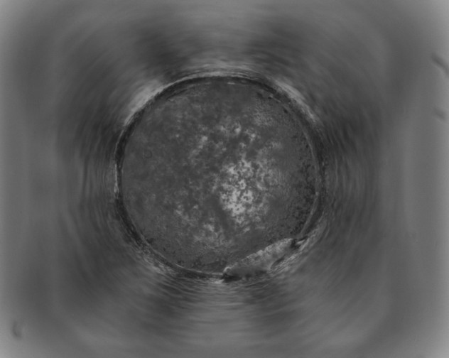 X0000091201267200708231522