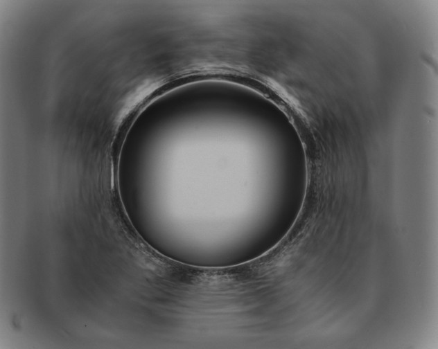 X0000091201269200708231522