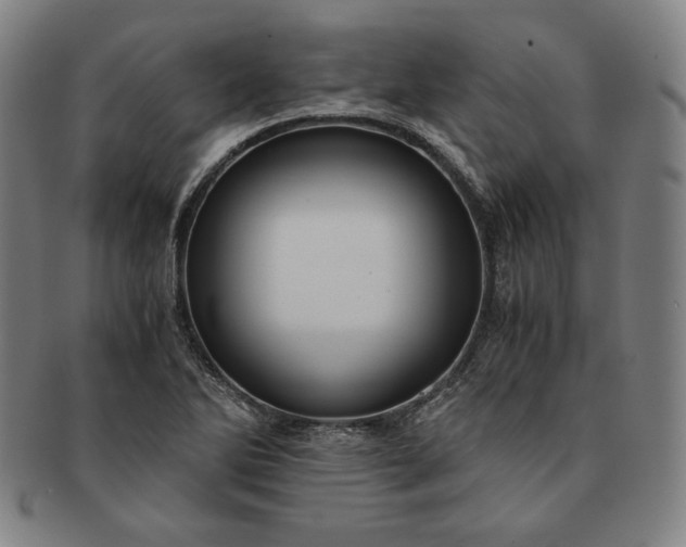 X0000091201270200708231522