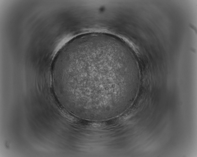 X0000091201271200708231522