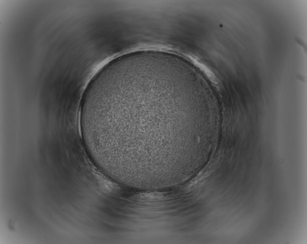 X0000091201272200708231522