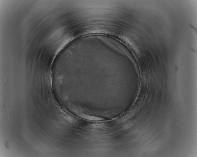 X0000091201274200708231522