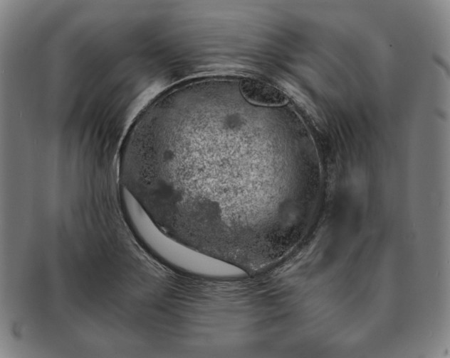 X0000091201275200708231522