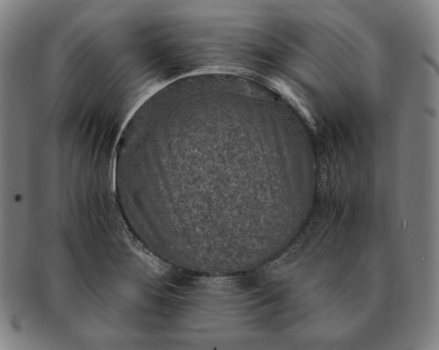 X0000091201276200708231522