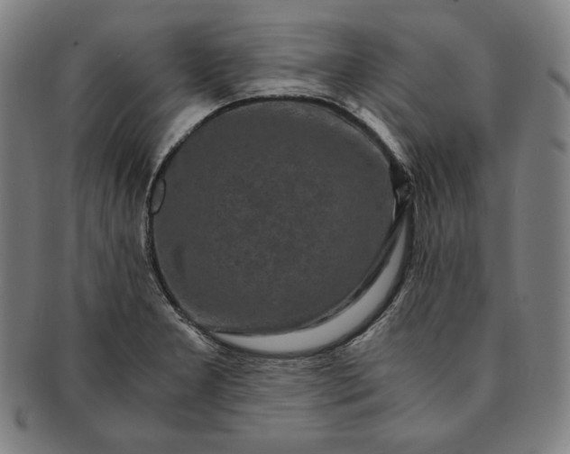 X0000091201277200708231522