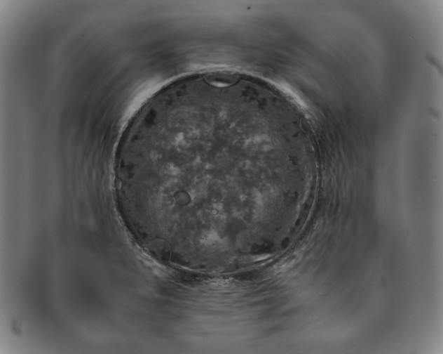 X0000091201279200708231522