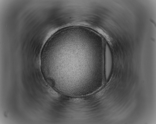 X0000091201280200708231522