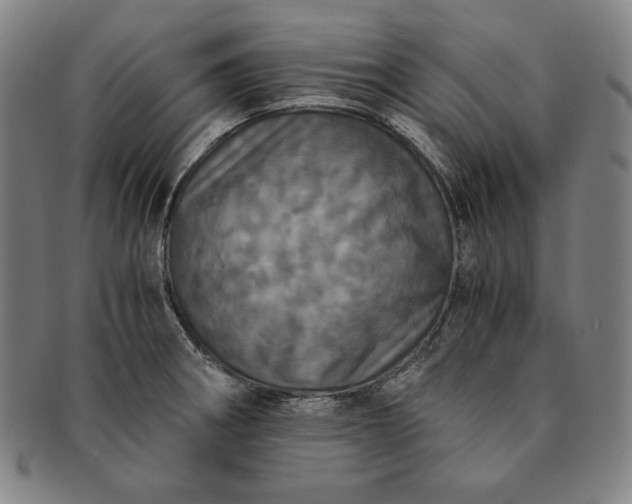 X0000091201282200708231522