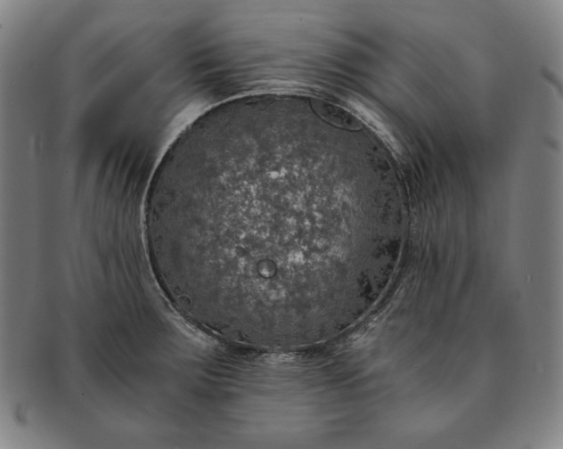 X0000091201283200708231522