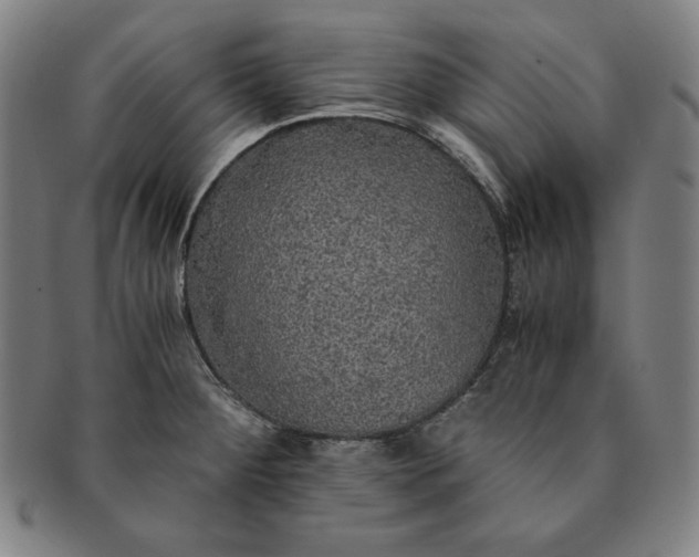 X0000091201284200708231522