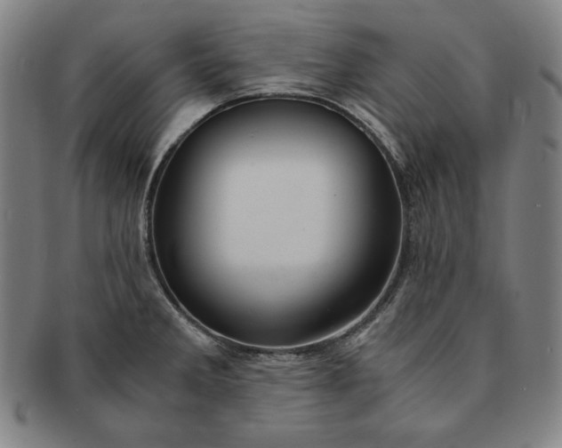 X0000091201285200708231522