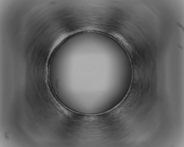 X0000091201286200708231522