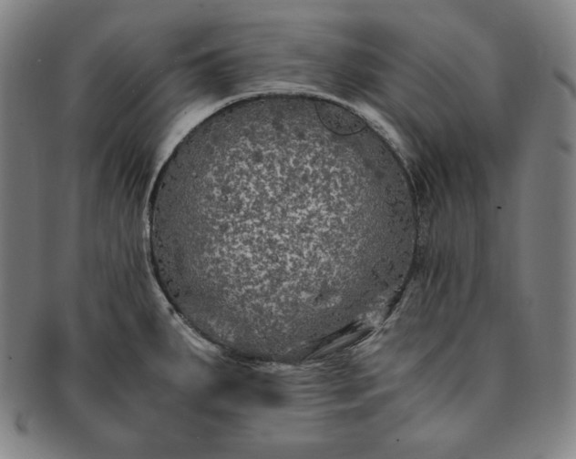 X0000091201287200708231522