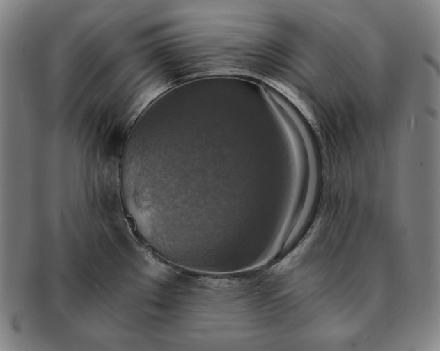 X0000091201289200708231522