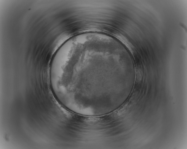 X0000091201290200708231522