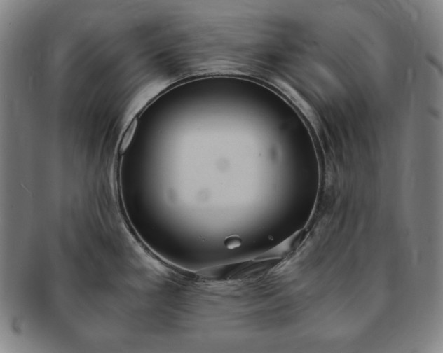 X0000091201293200708231522