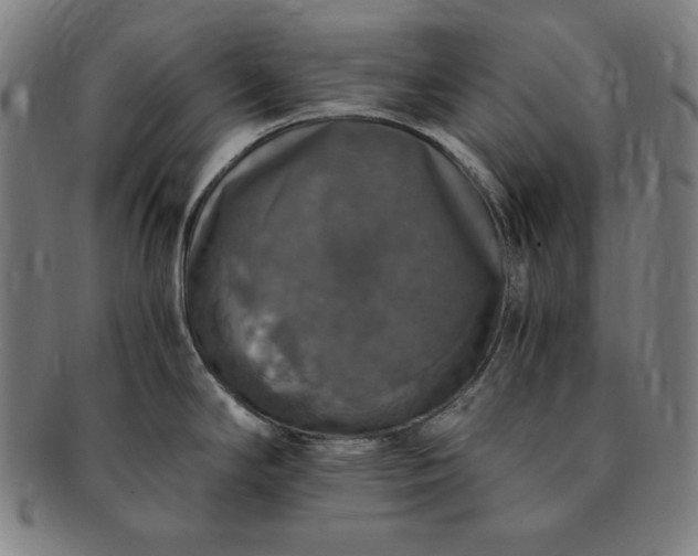 X0000091201294200708231522